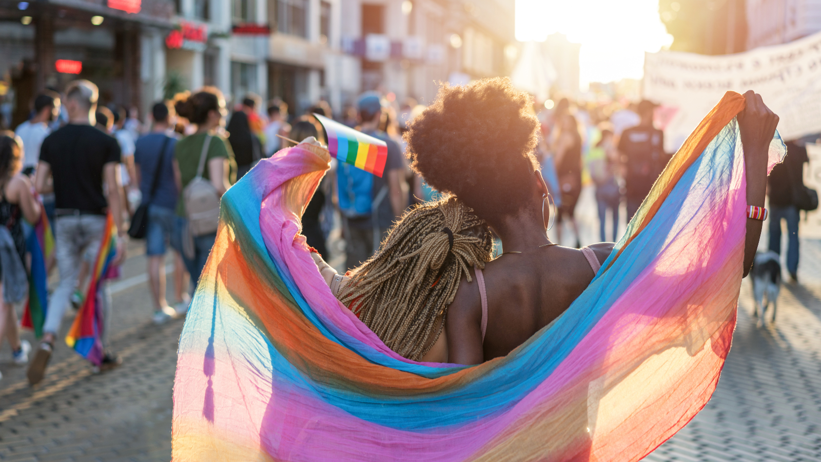 history of pride month, lgbtq folks holding flags and signs expressing pride in their identity
